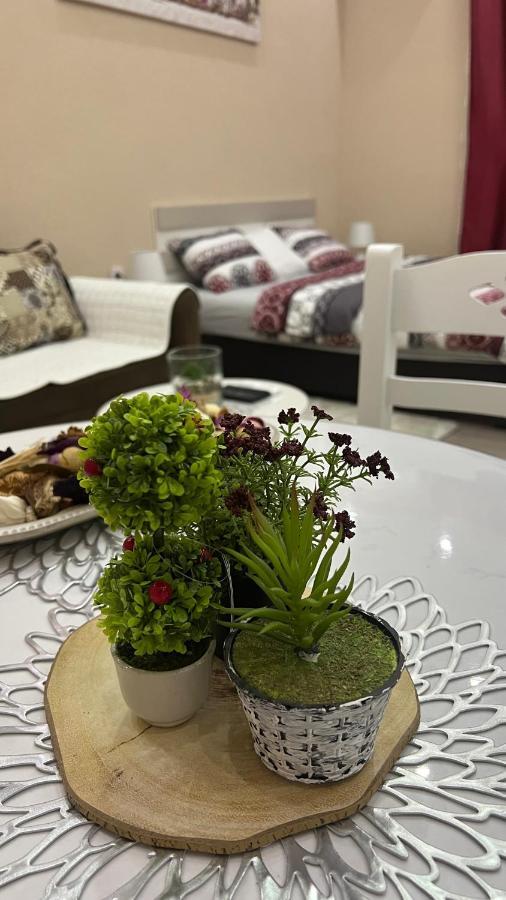 Apartment Downtown Podgorica Luaran gambar