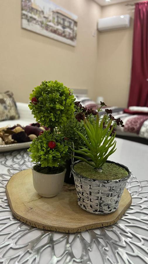 Apartment Downtown Podgorica Luaran gambar